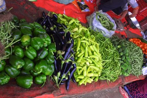 Image (65) Stock Photos