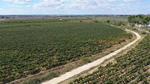 Image 6F 0 Stock Photos