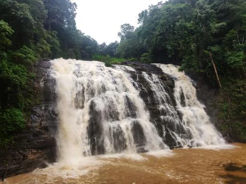 An image of Abbey waterfall covered with green forest in Coorg, Karnataka, In Stock Photos