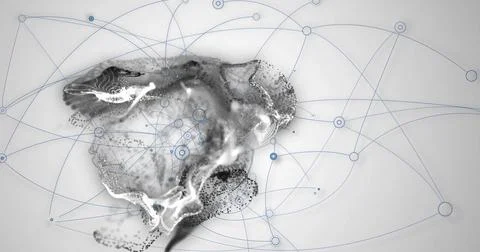 Image of abstract network connections over grayscale illustration of animal Stock Illustration