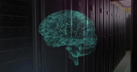 Image of ai data processing and brain over computer servers Stock Photos