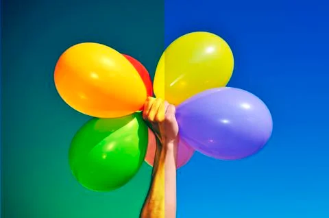 Image before and after applying a filter during the image editing process Stock Photos