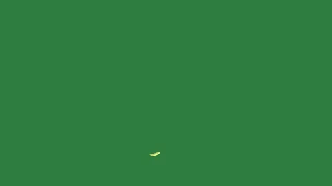 Image of with and yellow lines white bird flying in the air small sky close u... Video stock 336049914
