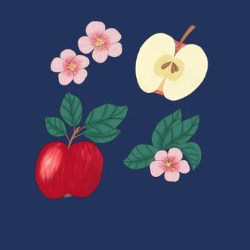 Image of apples and Apple blossoms on a blue background Stock Illustration