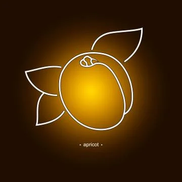 Image Apricot in the Contours 스톡 일러스트