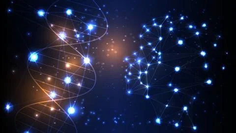 Image of artificial intelligence in the form of a luminous human head. Stock Photos