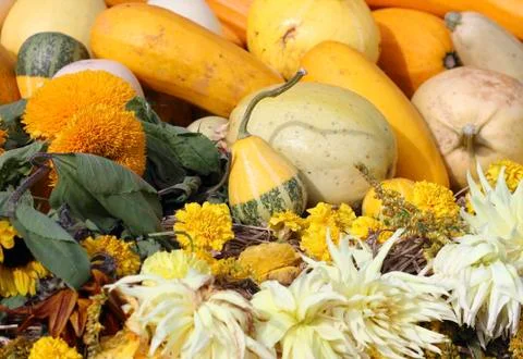 Image of autumn Stock Photos