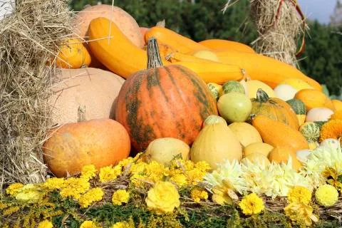 Image of autumn Stock Photos