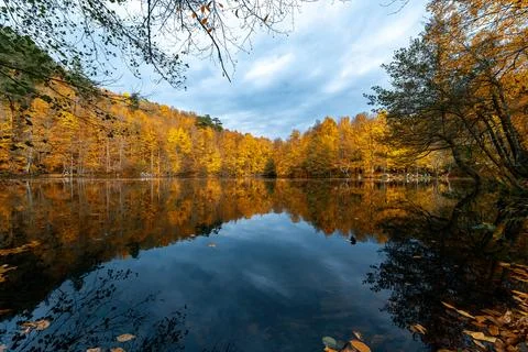 The image of autumn trees reflected in the clear water of the lake. The magni Foto stock