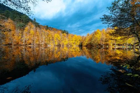 The image of autumn trees reflected in the clear water of the lake. The magni Stock-Fotos
