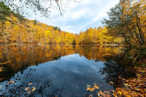 The image of autumn trees reflected in the clear water of the lake. The magni Stock-Fotos