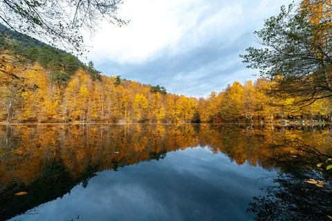 The image of autumn trees reflected in the clear water of the lake. The magni Stock Photos