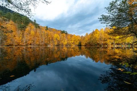 The image of autumn trees reflected in the clear water of the lake. The magni Stock-Fotos