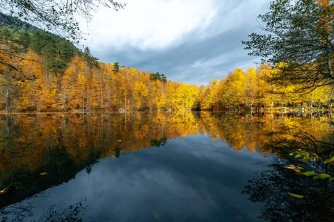 The image of autumn trees reflected in the clear water of the lake. The magni Stock Photos
