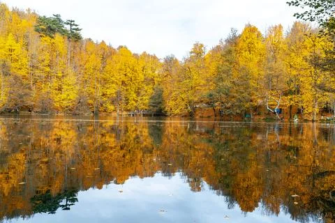 The image of autumn trees reflected in the clear water of the lake. The magni Stock-Fotos