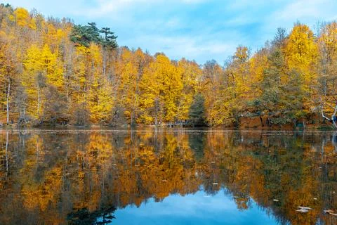 The image of autumn trees reflected in the clear water of the lake. The magni Stock-Fotos
