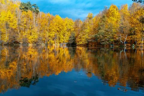The image of autumn trees reflected in the clear water of the lake. The magni Stock-Fotos
