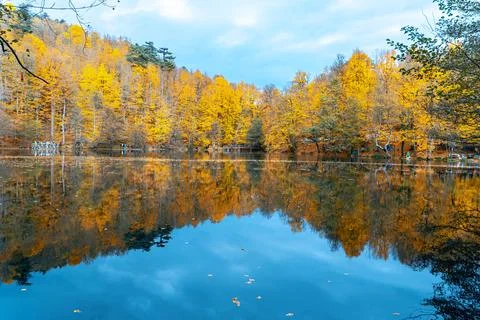 The image of autumn trees reflected in the clear water of the lake. The magni Stock-Fotos