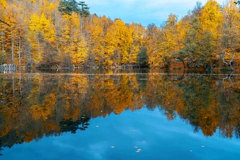 The image of autumn trees reflected in the clear water of the lake. The magni Foto stock