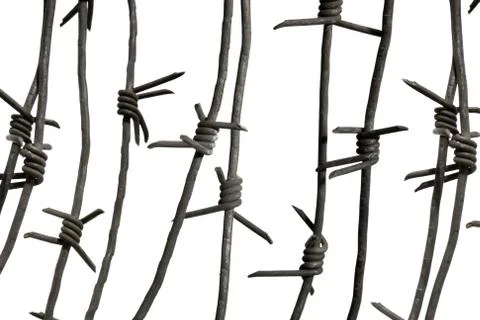 Image of barbwire sections with sharp thorns on white background Stock Photos