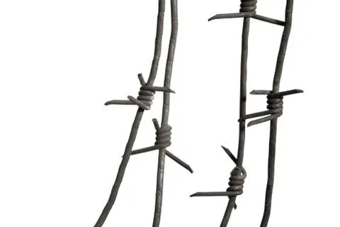 Image of barbwire sections with sharp thorns on white background Stock Photos