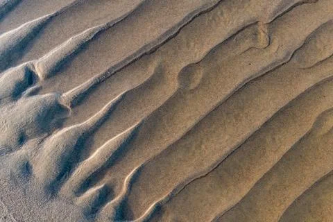The image is of a beach with a sandy shoreline Foto stock