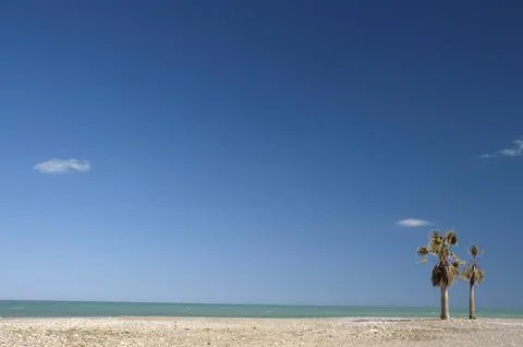 Image of a beach without people, with two palm trees on the shore Stock Photos