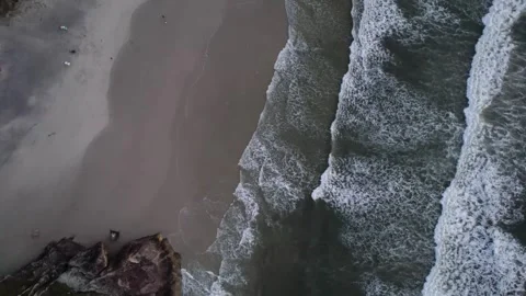 Image of beaches and waves, Ilha do Mel, Paraná, Brazil Vídeo Stock 262539502