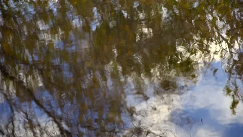 Image of beautiful abstract natural background Stock Footage 102767091