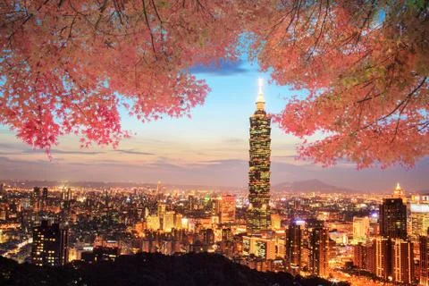 Image of beautiful maple place Stock Photos