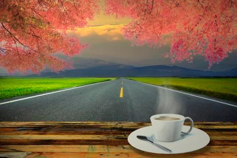 Image of beautiful maple place Stock Photos