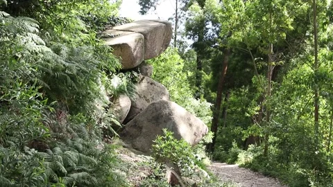 Image of big rocks in the park, Sintra, Portugal. Stock Footage 133284388