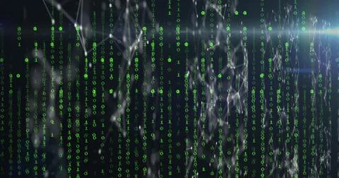 Image of binary coding and data processing over network of connections Stock Illustration
