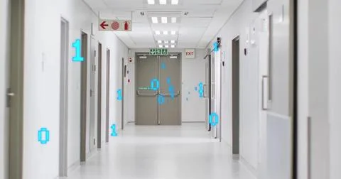 Image of binary coding and digital data processing over computer servers Stock Illustration