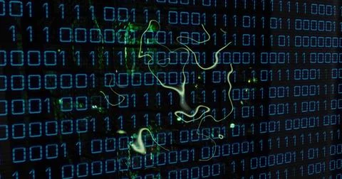 Image of binary coding data processing over computer servers Stock Illustration