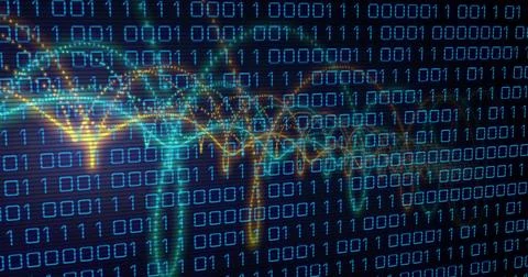 Image of binary coding data processing over networks of connections Foto stock