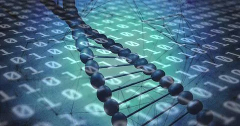 Image of binary coding data processing over dna strand spinning 写真素材