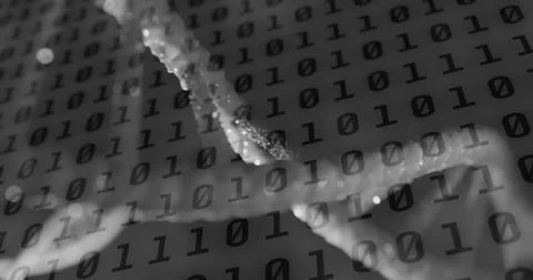 Image of binary coding data processing over dna strand spinning Stock Photos