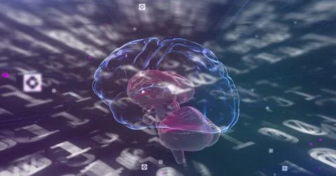 Image of binary coding numbers changing with human brain spinning イラスト素材