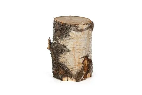 Image of birch stump Stock Photos