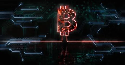 Image of bitcoin and data processing over computer circuit board 写真素材