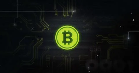 Image of bitcoin symbol with computer circuit board and data processing on black 库存插图