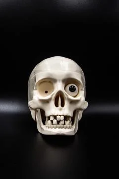 Image on a black background of a front white skull with one eye and missing t Foto stock
