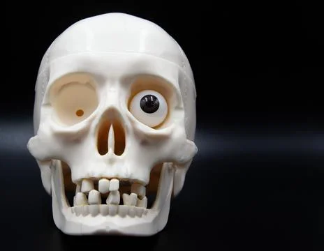 Image on a black background of a front white skull with one eye and missing t Stock Photos