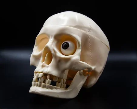 Image on a black background of a sideways white skull with one eye and missin Fotos de archivo