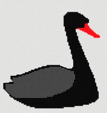 Image of black swan Stock Illustration