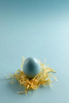 Image of blue easter egg in straw and copy space on blue background Stockfoto's