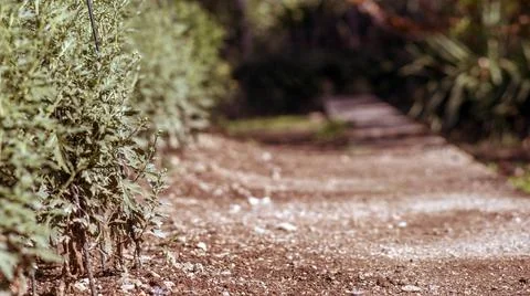 Image of blur road with tree on side way with bokeh for background Stock Photos