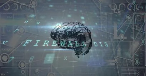 Image of brain and network of connections over grey background Stock Illustration