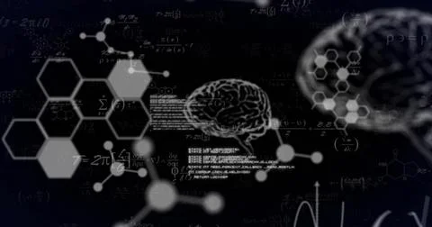 Image of brain, molecules and data processing with mathematical equations on Stock Illustration